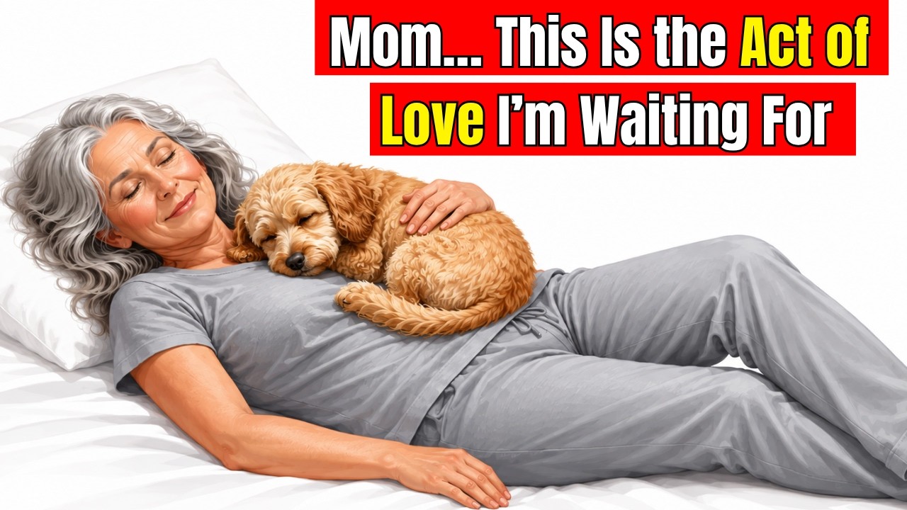 18 Things Dogs Love and Wait for &mdash; But Most Owners Rarely Do&rdquo;