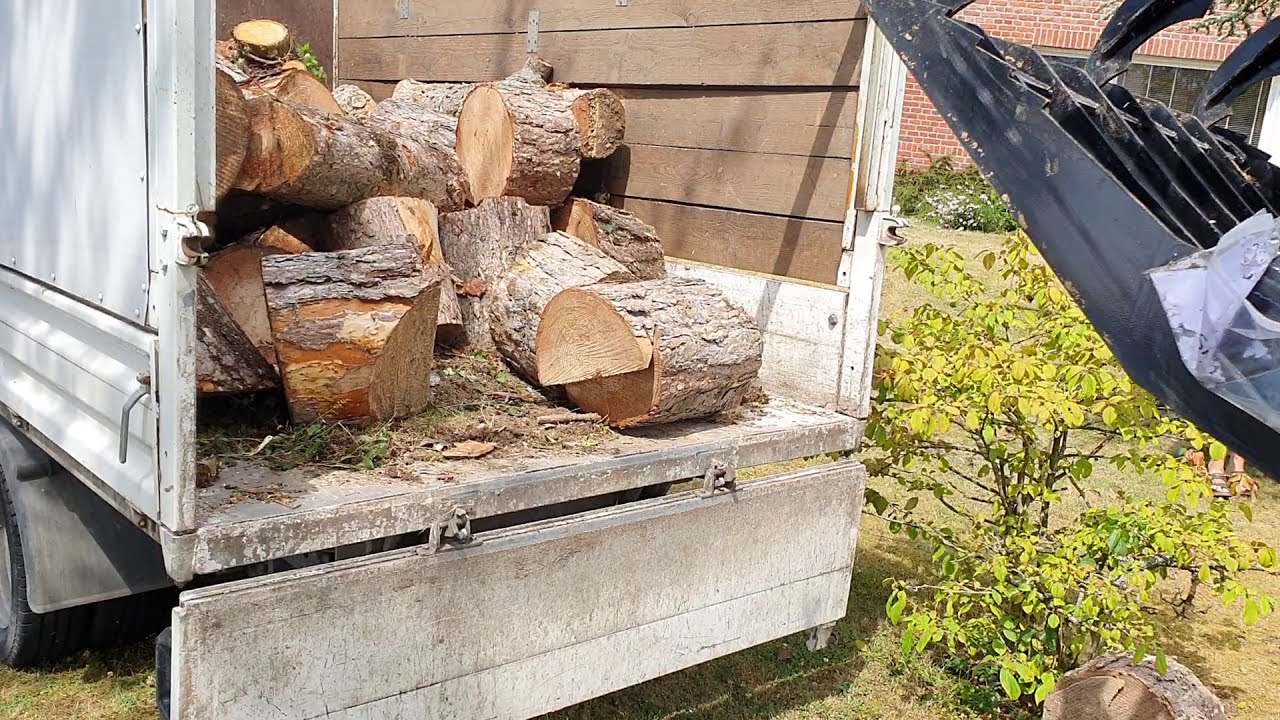Vermeer Skid S925TX chargement bois apres abattage - Vermeer Skid 925TX loading timber after felling