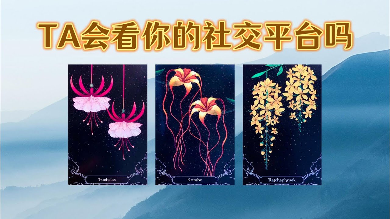 TA會看你的社交平臺嗎？看到會想些什麼？對你們關係有什麼看法｜曖昧卡頓｜暗戀｜分手斷聯｜吵架｜冷戰｜不限性別性向