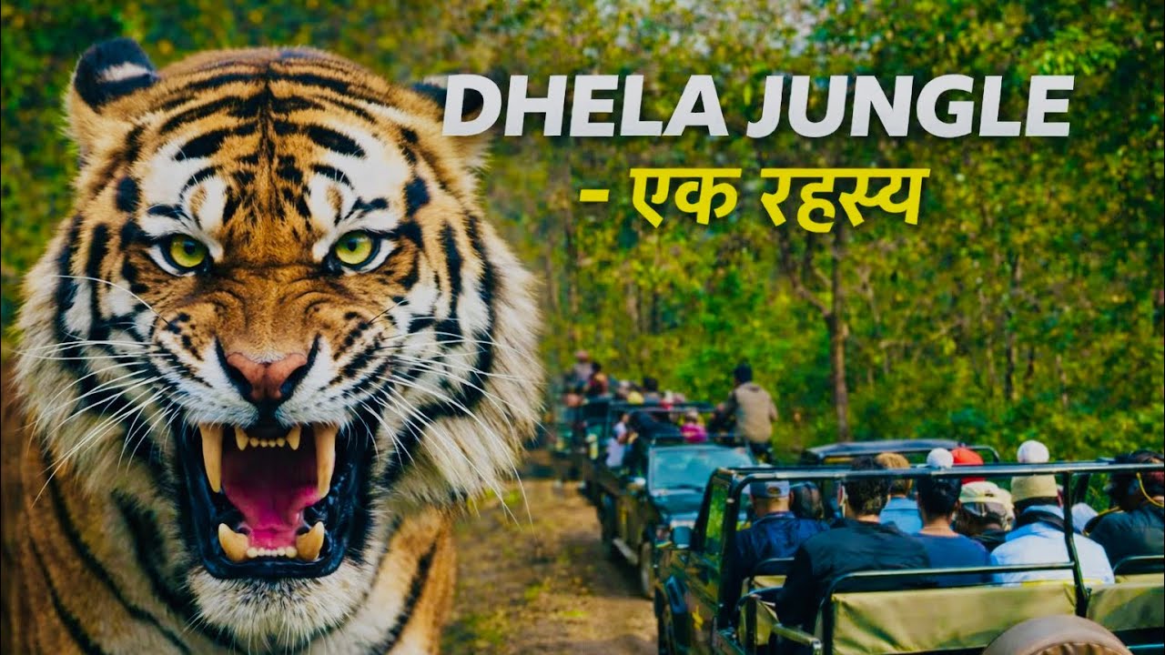 Dhela Jungle Jim Corbett Safari | Honda CB350 Road Trip