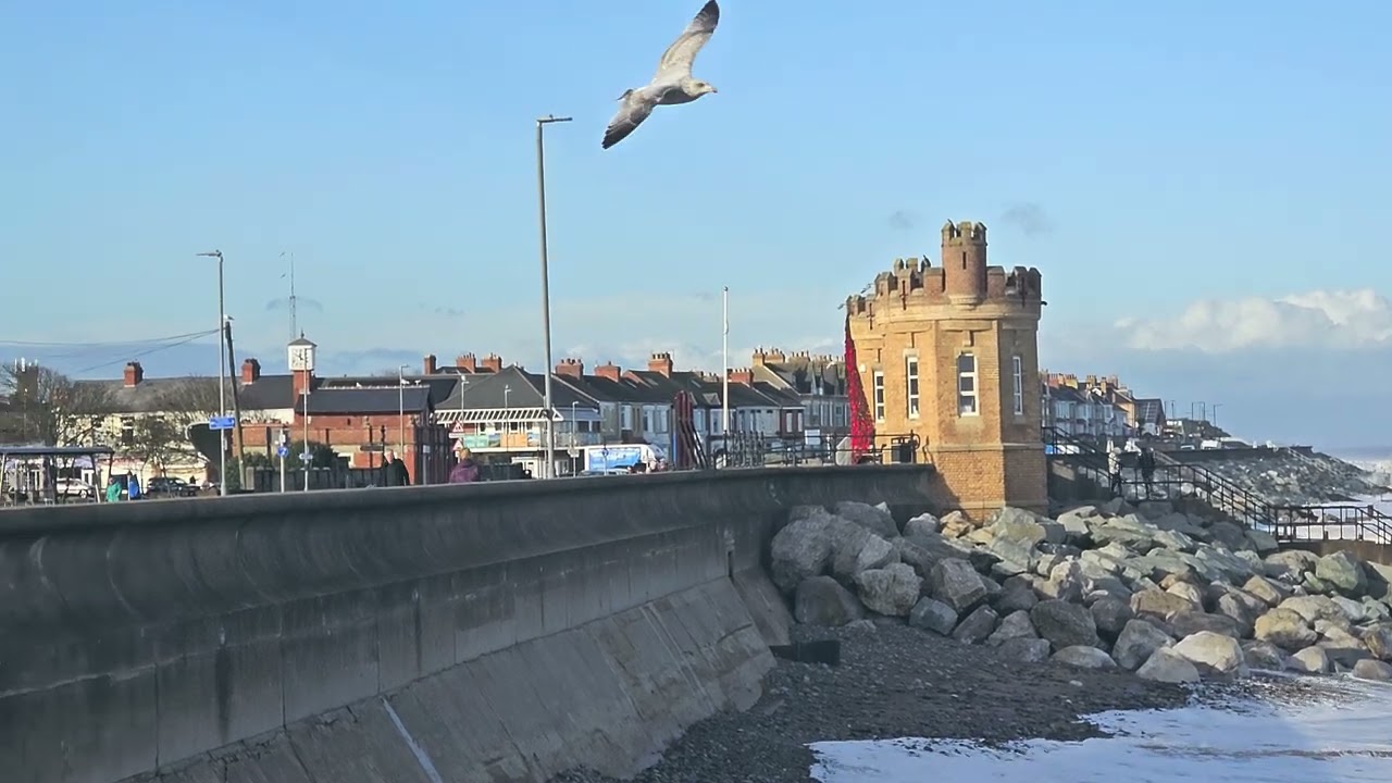 Wild and mild 13th November in downtown Withernsea 