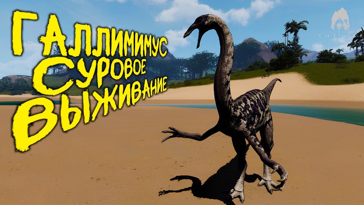 СОЛО СУРОВОЕ ВЫЖИВАНИЕ ЗА ГАЛЛИМИМУСА | THE ISLE EVRIMA #theisle #theisleevrima