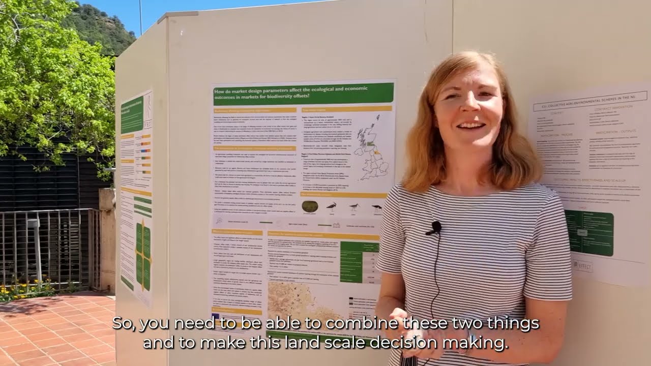 Biodiversity offsetting in the UK
