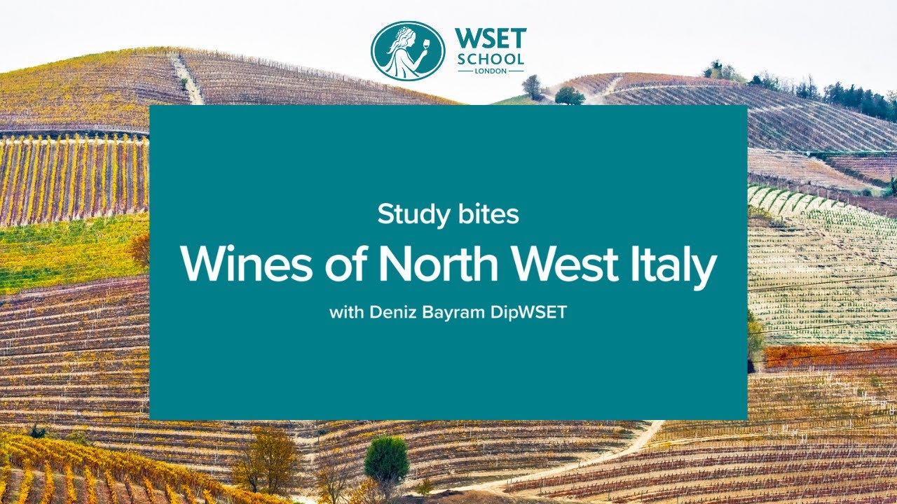 Study bites: wines of North West Italy (WSET Level 3 wine)