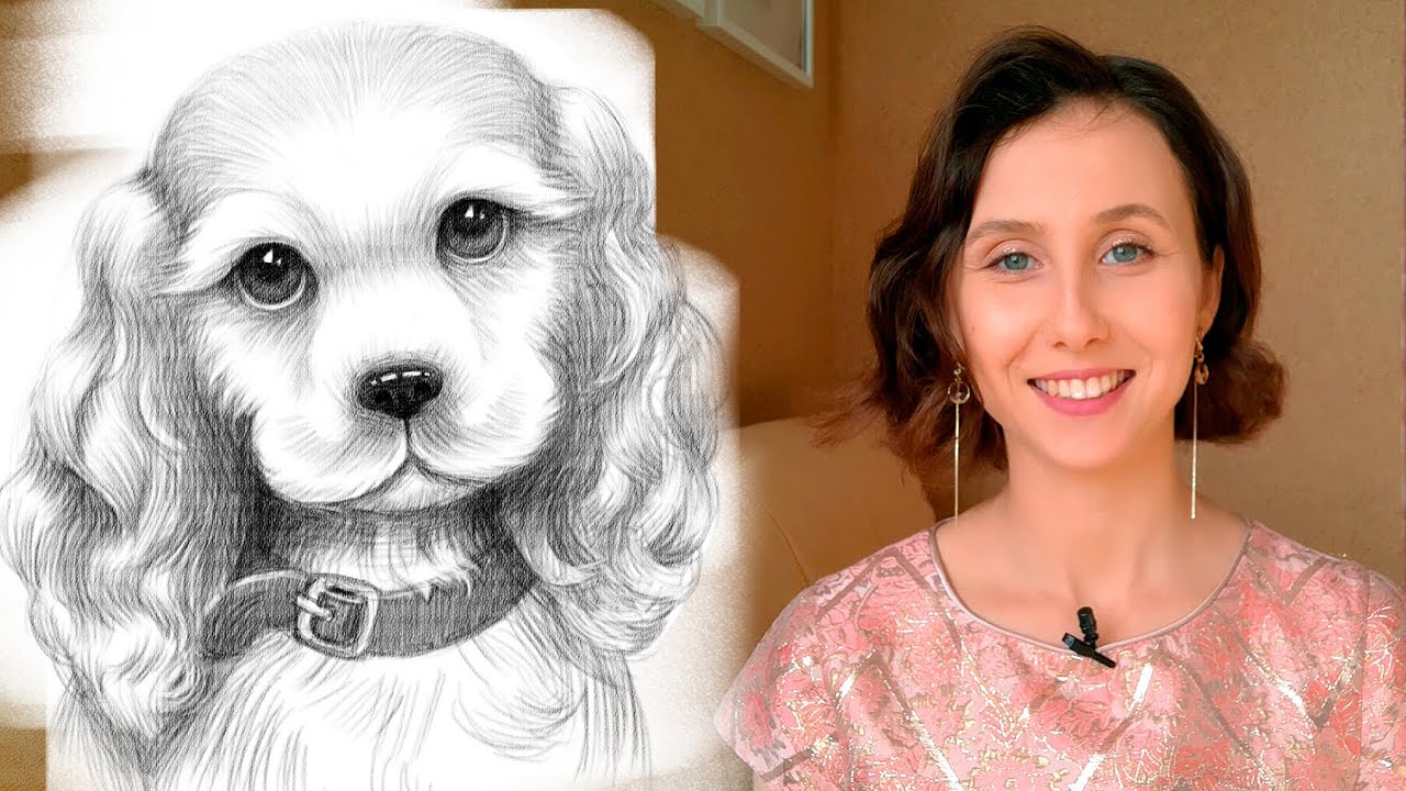 Как нарисовать собаку карандашом поэтапно для начинающих - Щенок кокер-спаниель