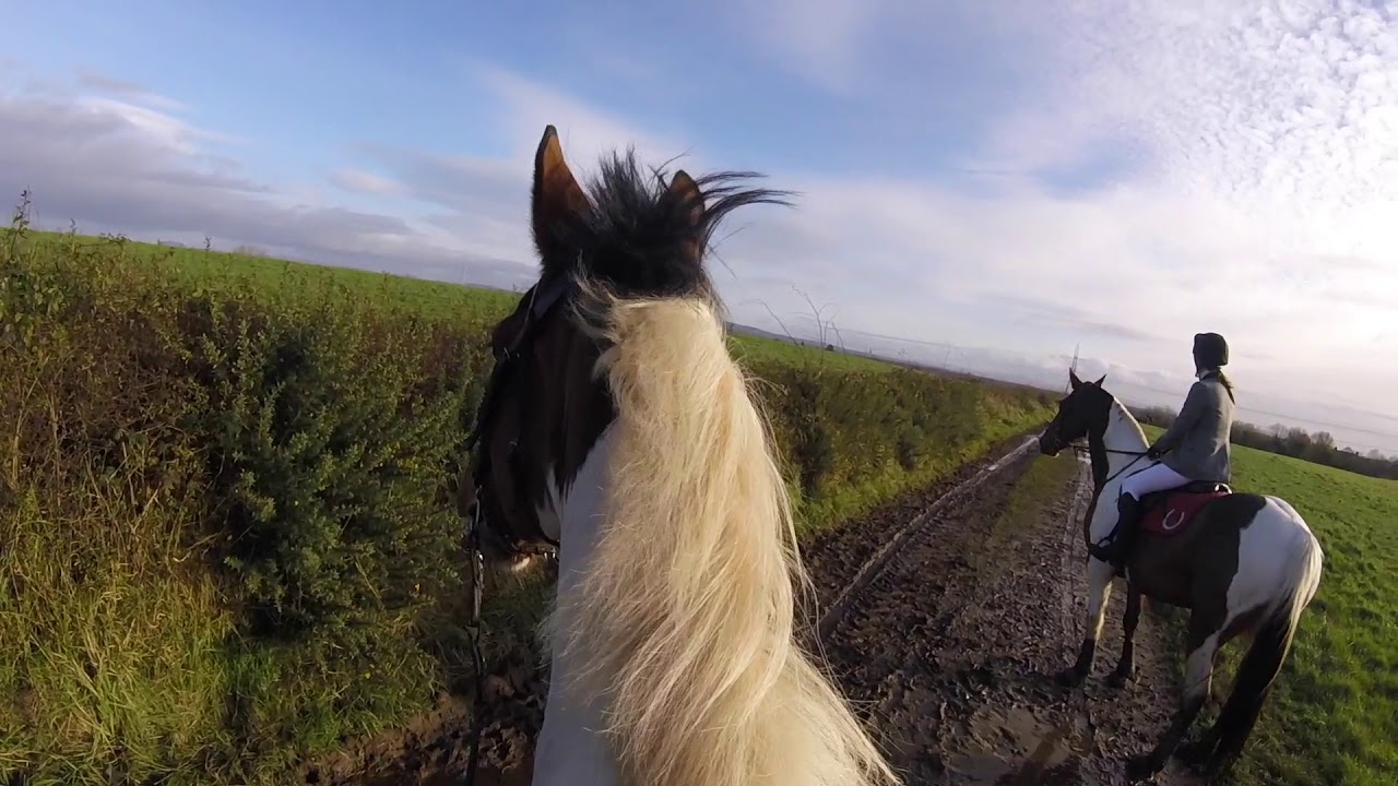 Slightly keen Murphy! (Hunting GoPro)