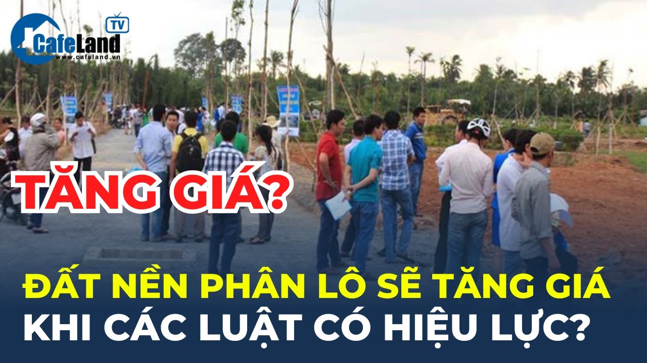 Đất nền phân lô sẽ TĂNG GIÁ MẠNH khi các Luật có hiệu lực? | CafeLand