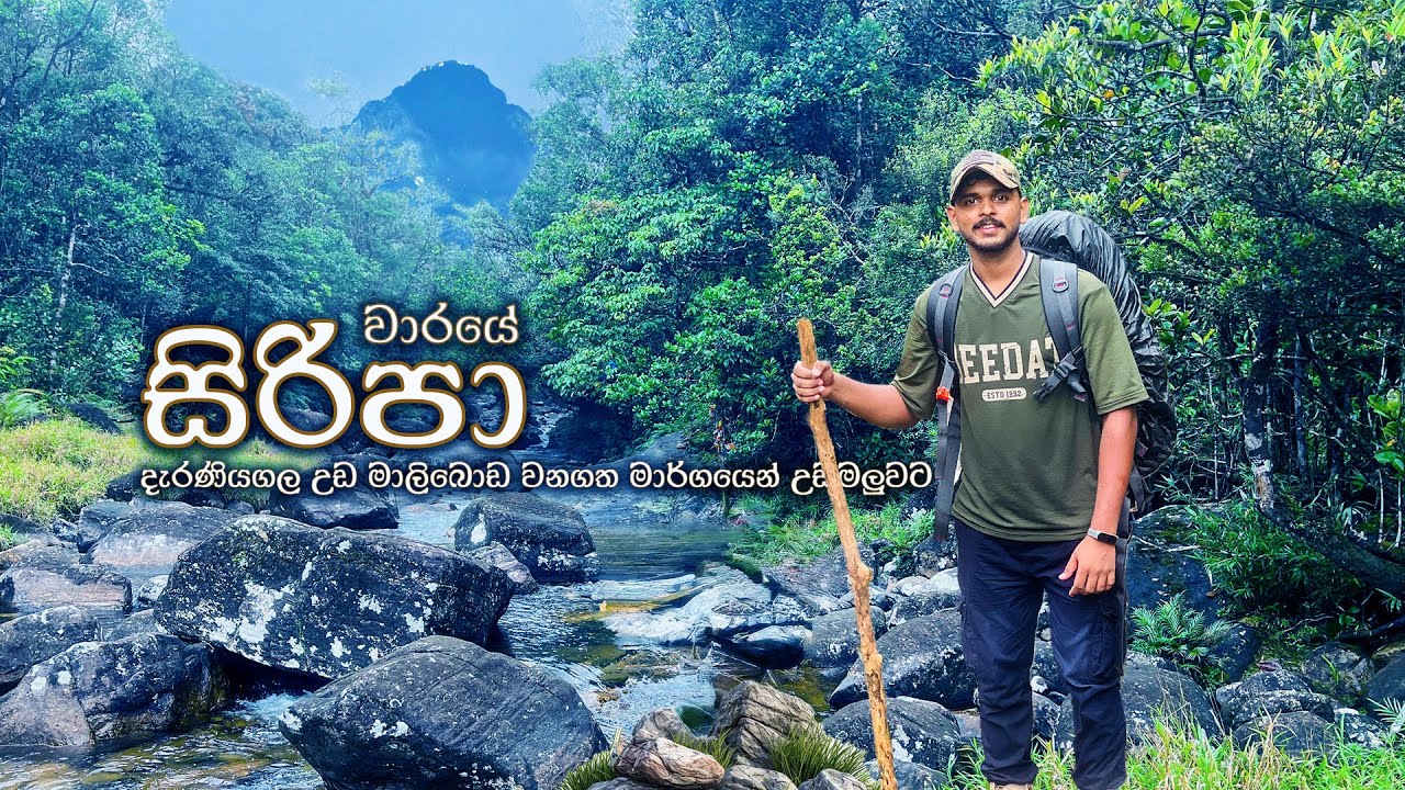 දැරණියගල උඩ මාලිබොඩ වනගත මාර්ගයෙන් සිරිපා මලුවට | Season Sripada Hiking