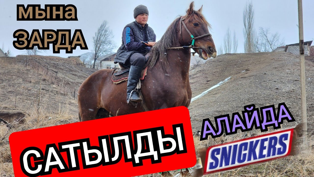 Сатылды