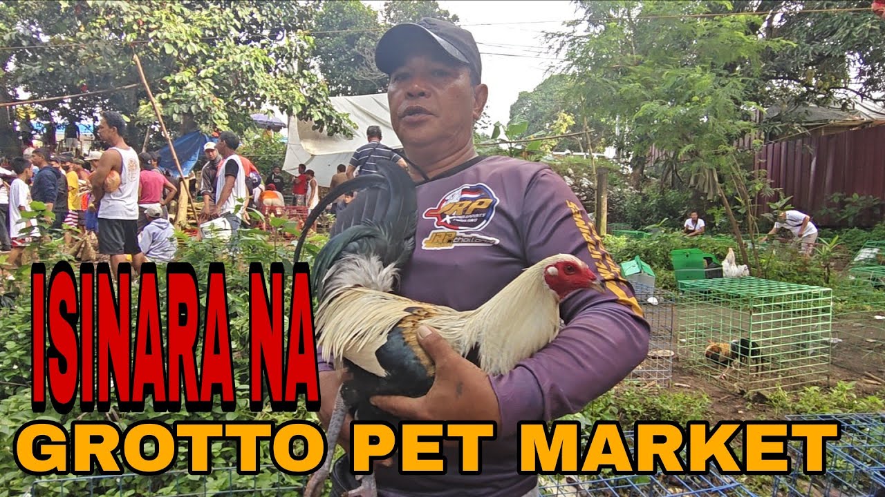 Malungkot na balita isasara na ang tiangge ng Manukan sa grotto pet market panoorin nio video 