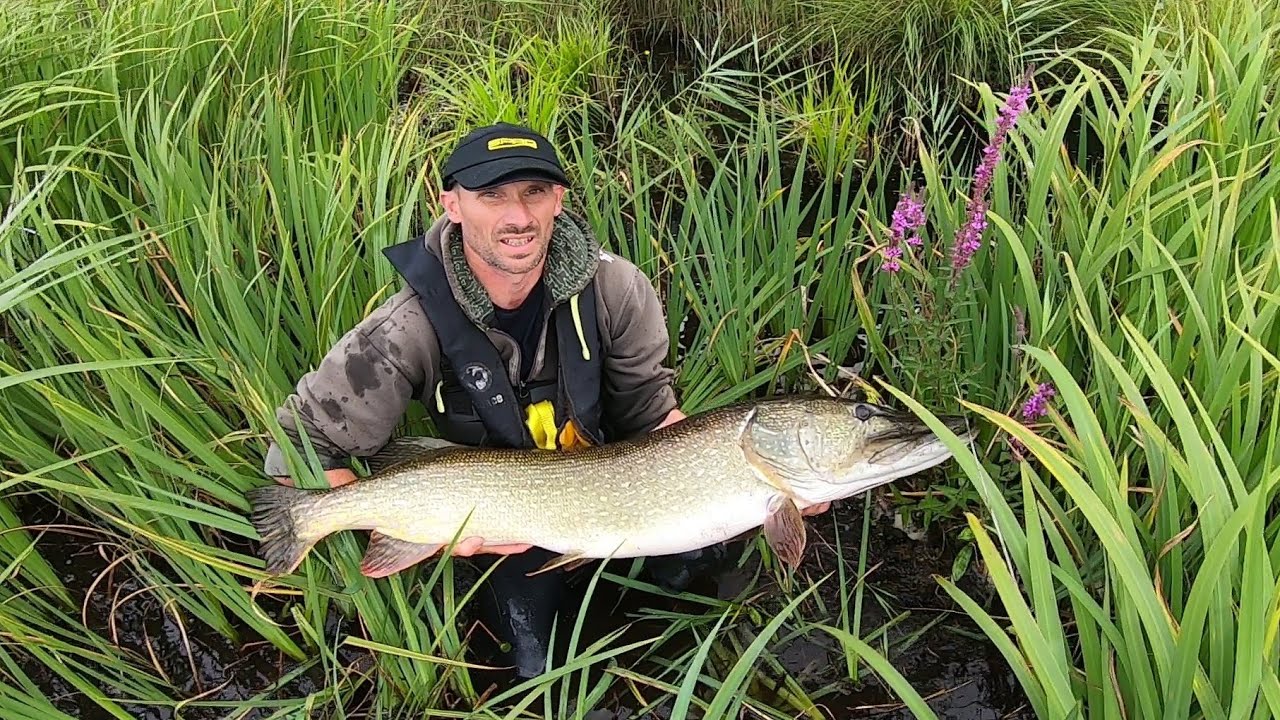 nouveau record du brochet 121