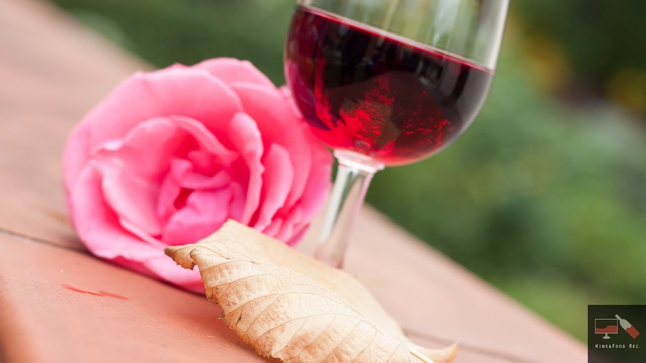 Wine&Food Rec. Recensione vino rosso Sartori Valpolicella DOC 2016