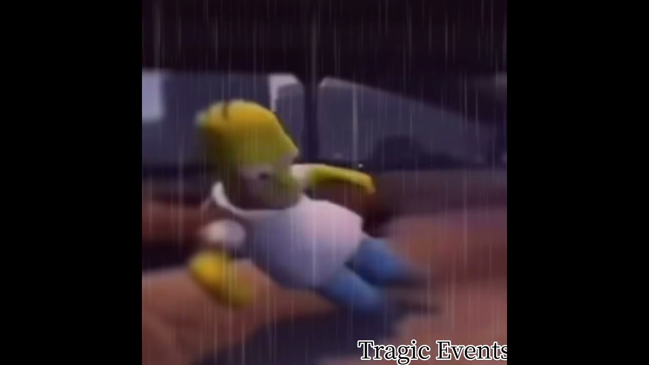 Tragic events today :( #meme #homer #r.i.p