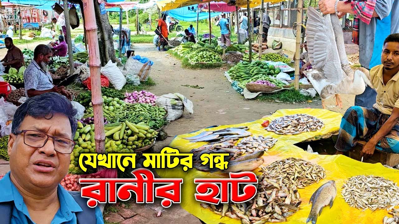 রানীরহাট, বগুড়ার ঐতিহ্যবাহী গ্রামীণ হাট। Traditional Village Market of Bogura 🇧🇩