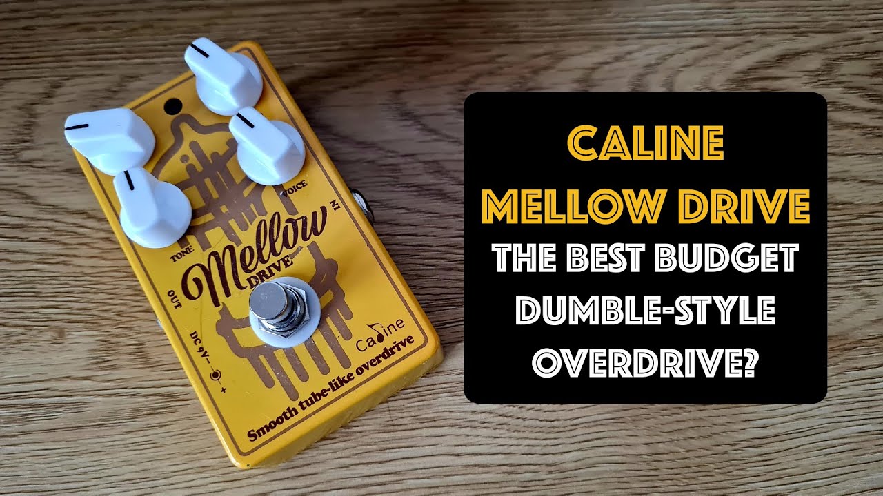 Caline Mellow Drive vs Line 6 HX Effects | Dumble Style Overdrive on Budget