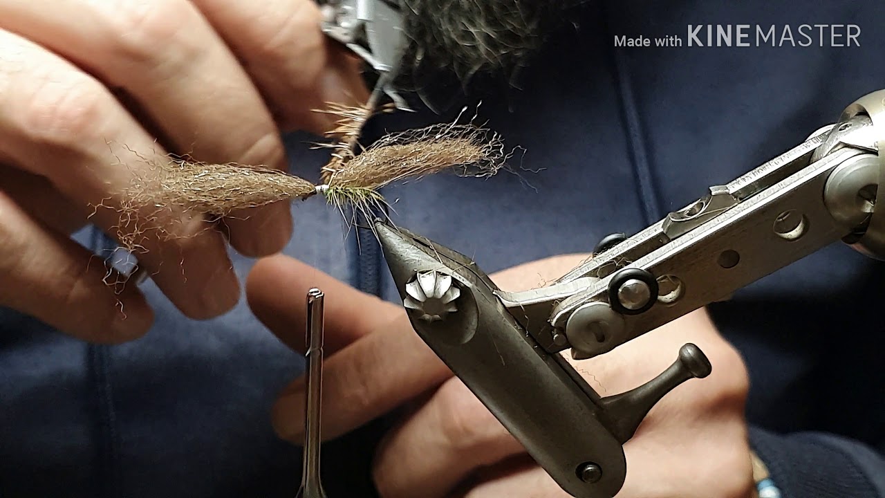 Fly tying Renaflua variant caddis