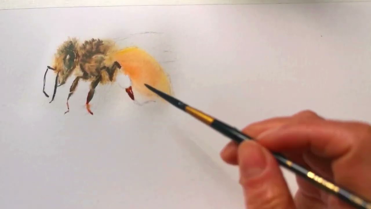 Watercolor Painting Experience Sharing | What I’ve Learned Along the Way