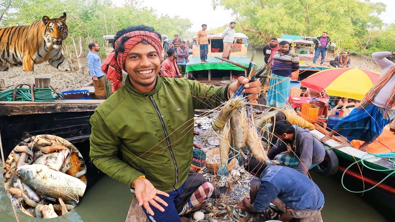 প্রাকৃতিক সৌন্দর্যের অপরূপ লীলাভূমি সুন্দরবন । সুন্দরবন ভ্রমন । বাঘের আস্তানায় ঘোরাঘুরি