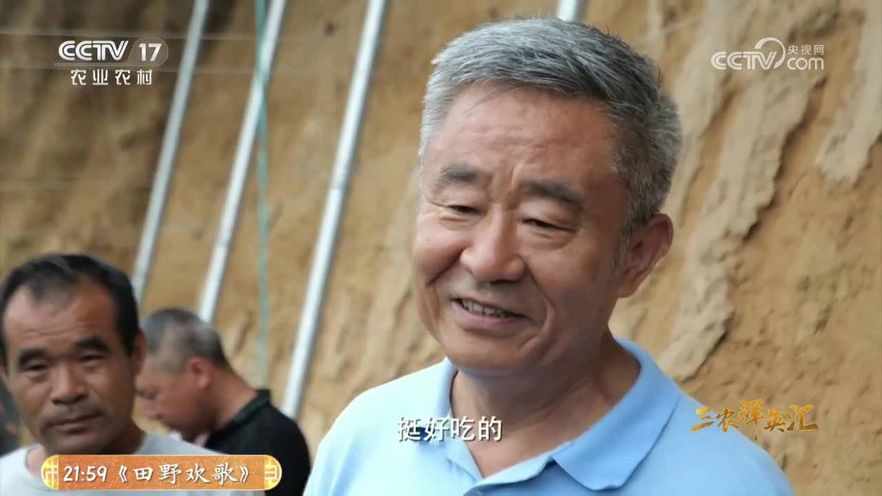 《三农群英汇》 20260208 盐碱地里找商机 | 农业致富经 Agriculture And Farming