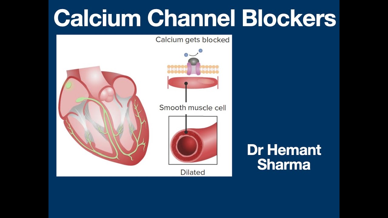 CALCIUM CHANNEL BLOCKER, HT BLOOD & HT QI DEFICIENCY-Daily Acupuncture discussion on treatise Class
