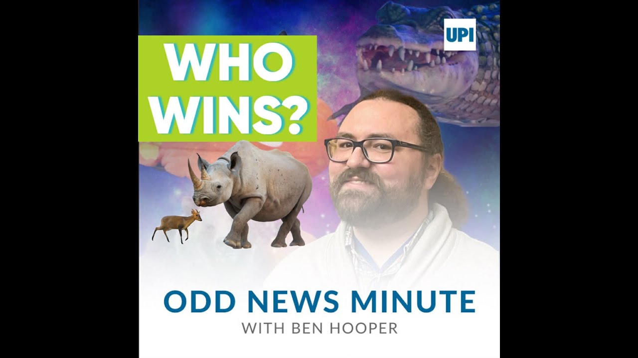 Odds and Ends: Zoo fight, fast trash