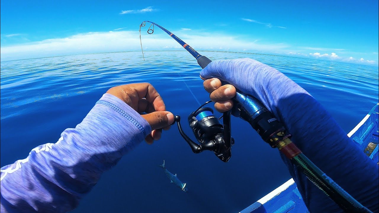 Iseng Nyari Spot.. Langsung Ketemu Sarang Predator Ganas 😱