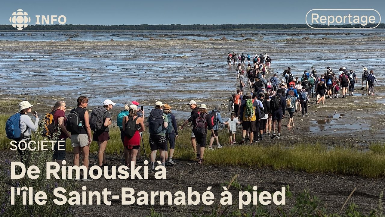 Visiter l'île Saint-Barnabé à marée basse