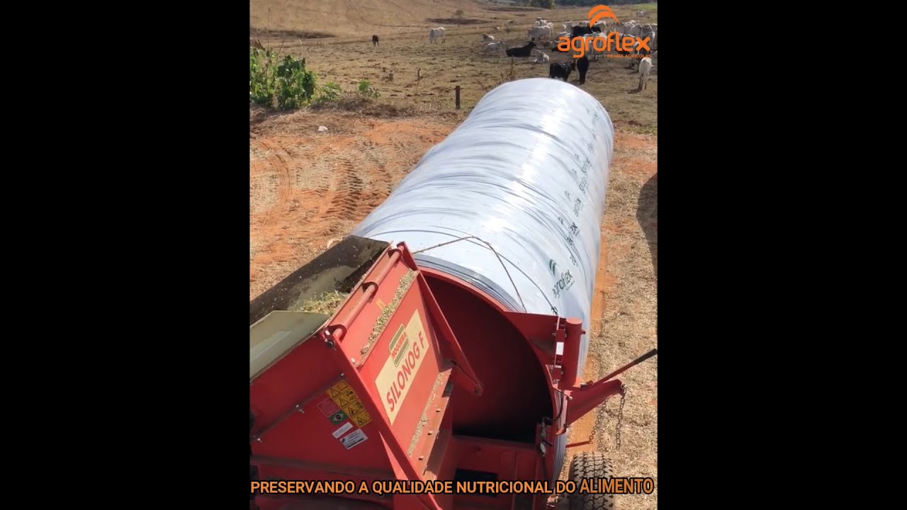 Silagem em silo bolsa, sem duvida a melhor opção