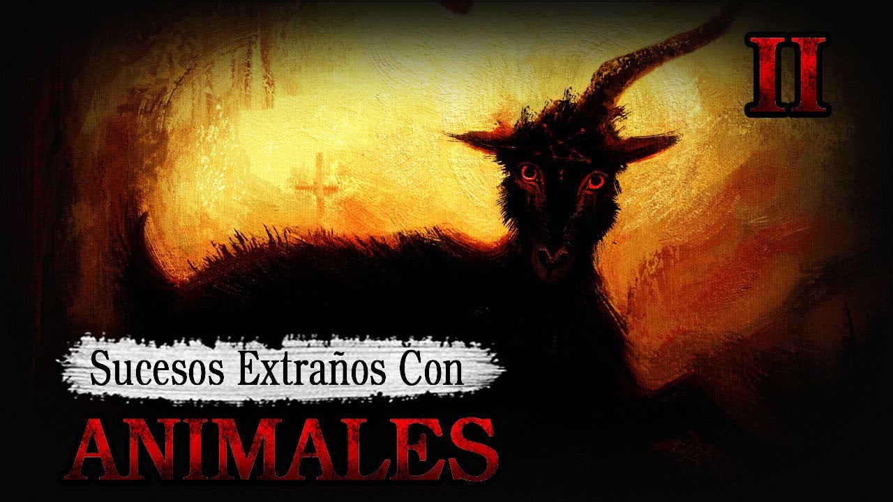Sucesos Extraños Con Animales #2 Historias De Terror - REDE