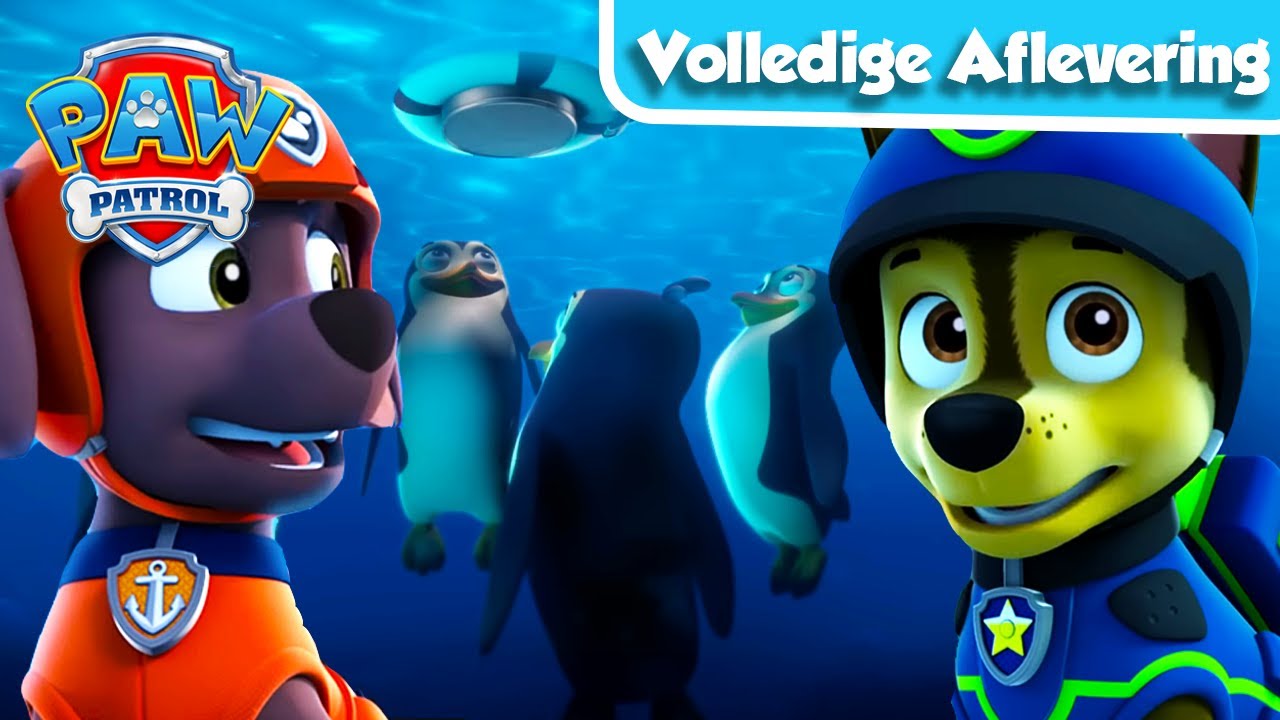 Pups redden de pingu&iuml;ns | Volledige aflevering | PAW Patrol Nederlands