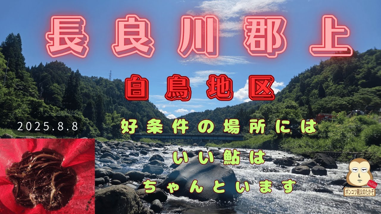 「郡上のアユ釣り」
