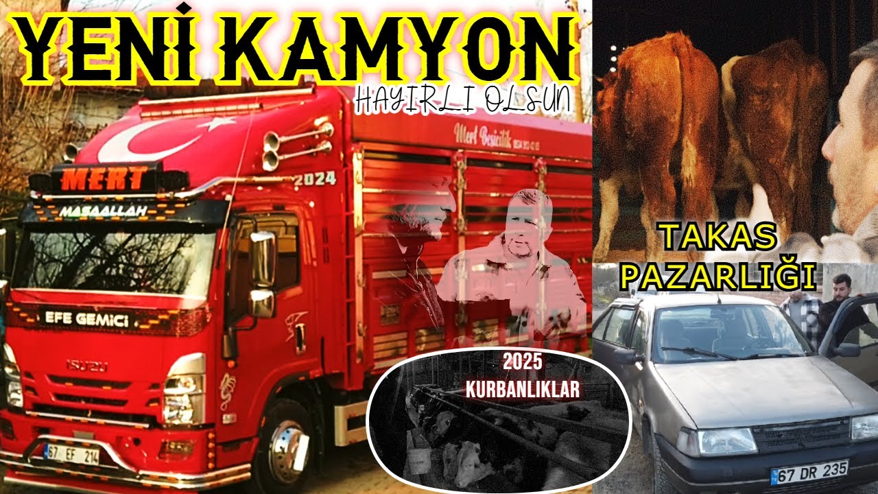 Köyde 2025 Kurbanlık - Büyükbaş Araba Takas Pazarlığı - Yeni Canlı Hayvan Taşıma Aracı