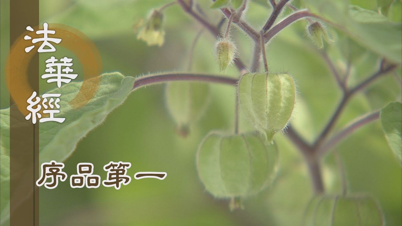 【靜思妙蓮華】法華經序品第一 - 劫賓那 憍梵波提 - 20191127 第47集