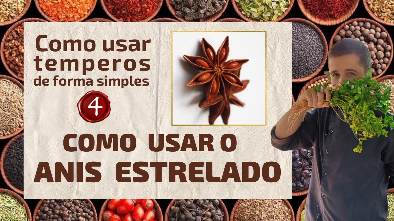 Como usar ANIS ESTRELADO (Como usar temperos de forma simples 4)