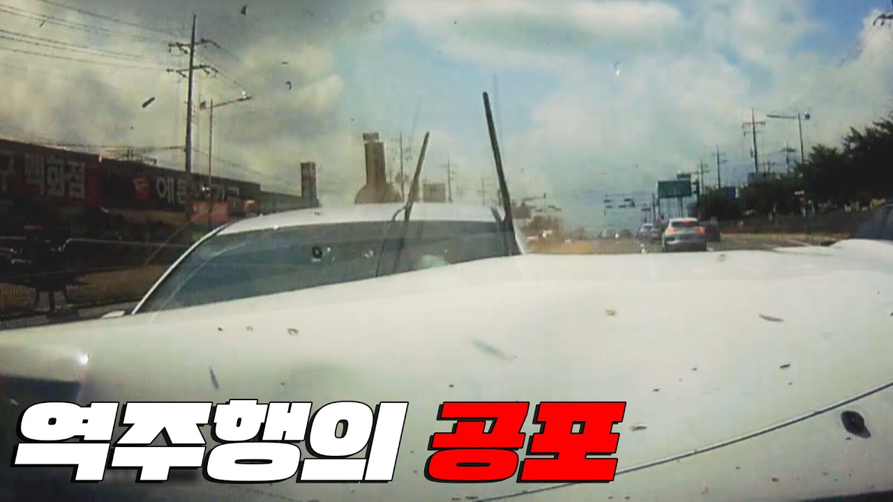 [맨인블박] 왜 도로를 거꾸로 오시나요...