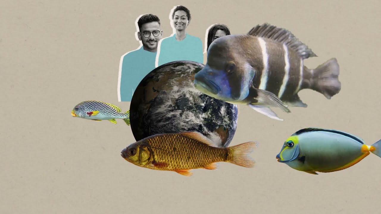 Scalable Solutions for Coastal Community-Led Conservation
