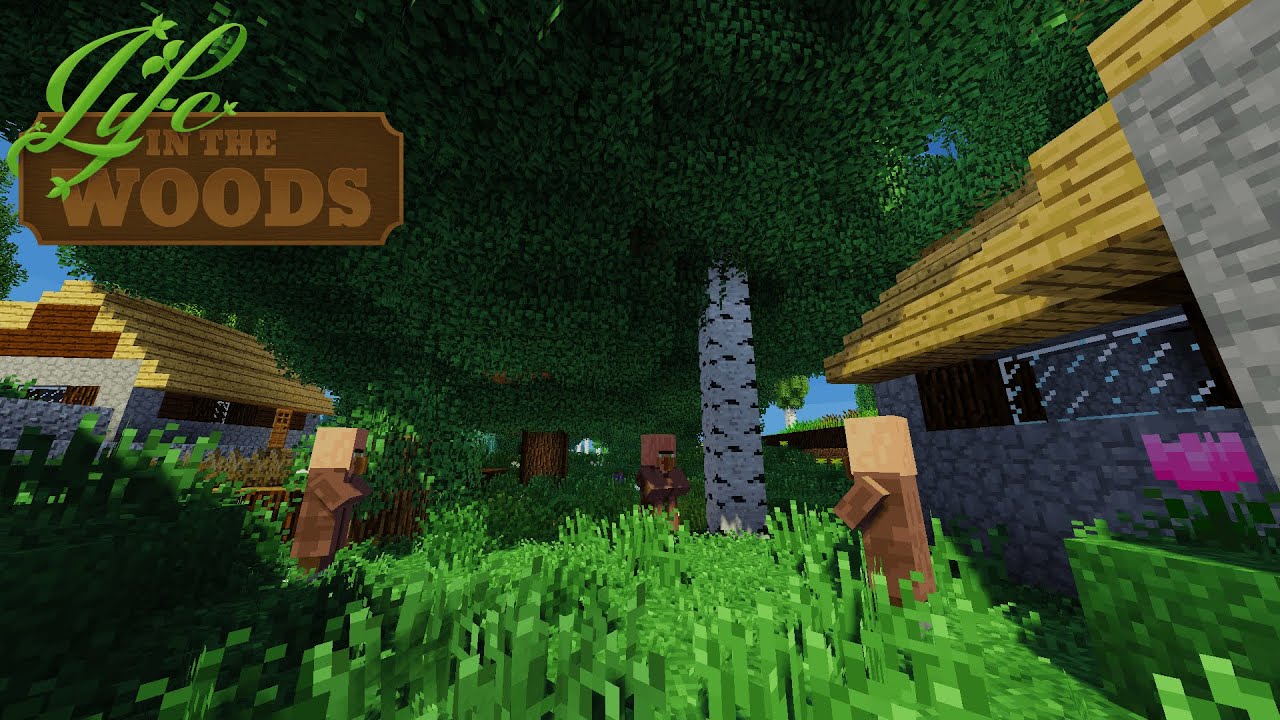 Life In The Woods 