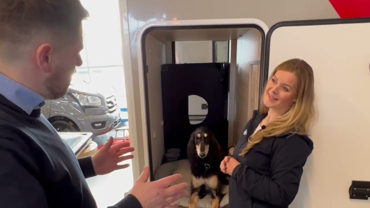 Temafilm: Hund i Bobil.