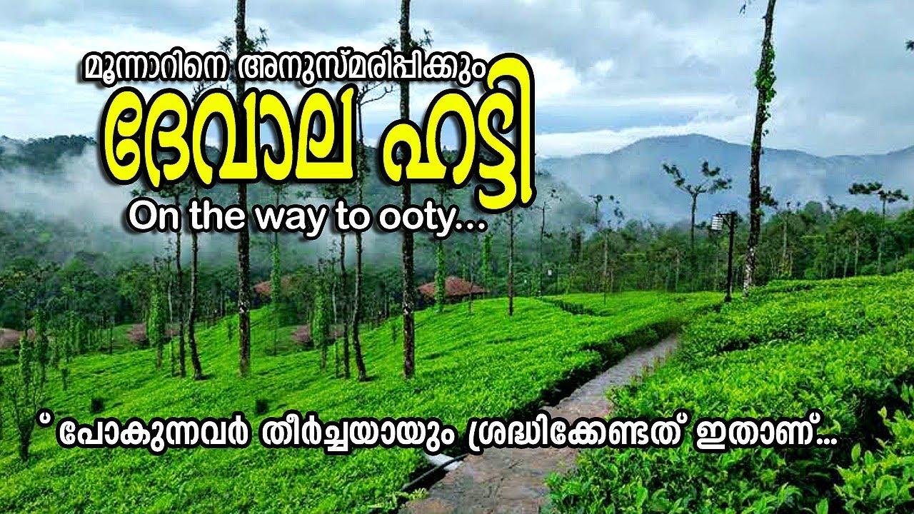 Devala Hatty |  secret Hill station | on tha way to ooty | മൂനാറിനെ അനുസ്മരിപ്പിക്കുന്ന ദേവാല ഹട്ടി