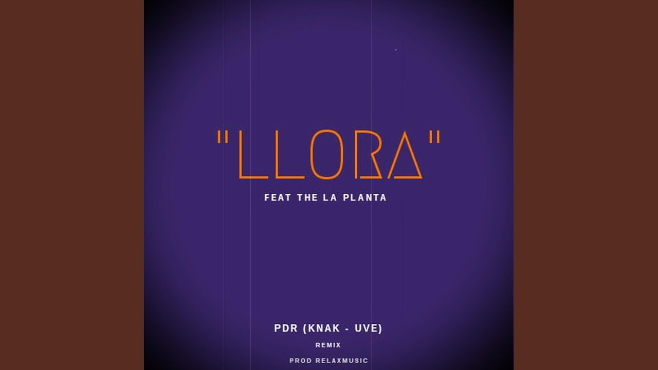LLORA (REMIX Knak-The la planta)