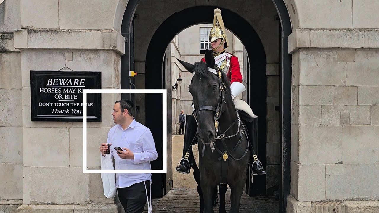 RUDE IDIOT TOURIST STROLLS THROUGH THE BOX. Guard can't believe the stupidity at Horse Guards!