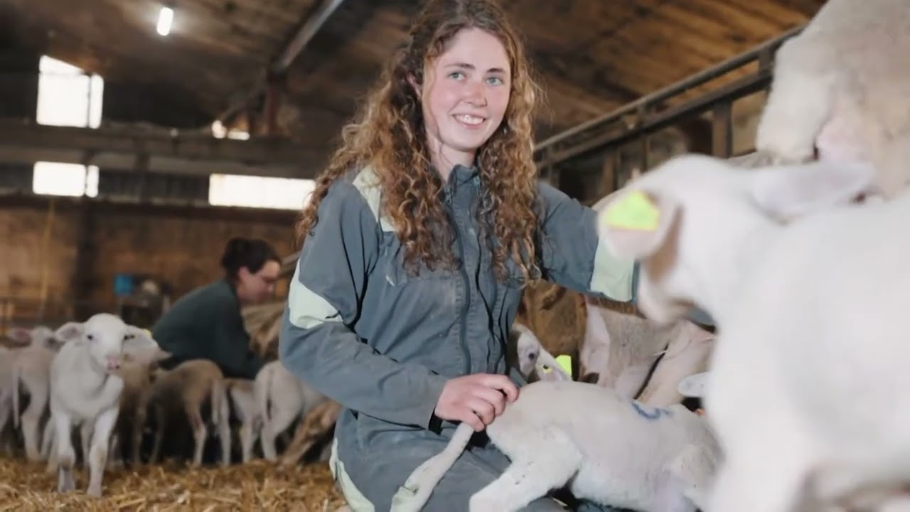 Travailler en Aveyron dans les métiers agricoles - AGRICULTURE