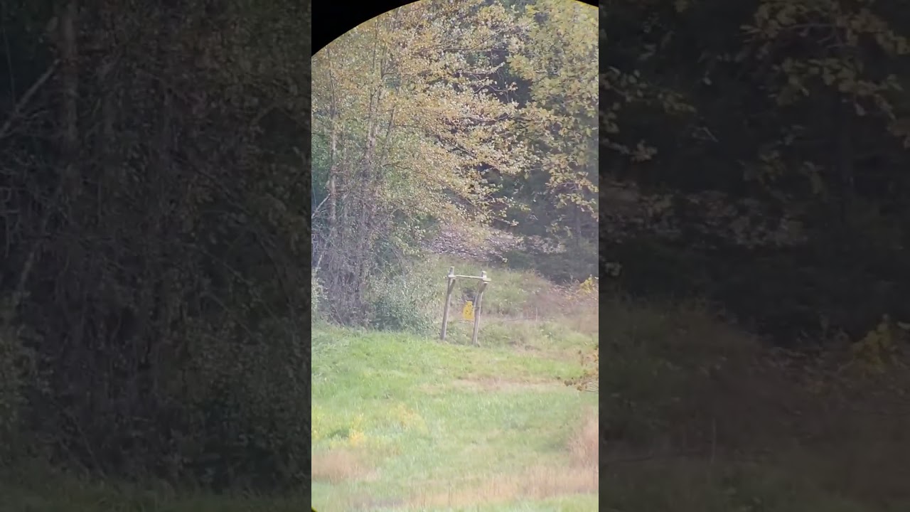 270 Winchester at 360 yards #shorts #longrange #shooting #targetshooting #rifle