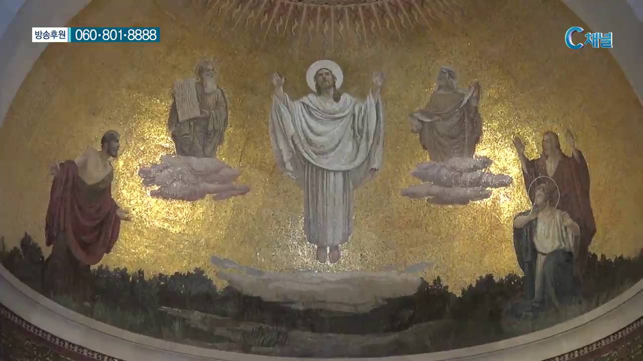 성지가 좋다 33회 갈멜산 & 다볼산  - 이강근 박사