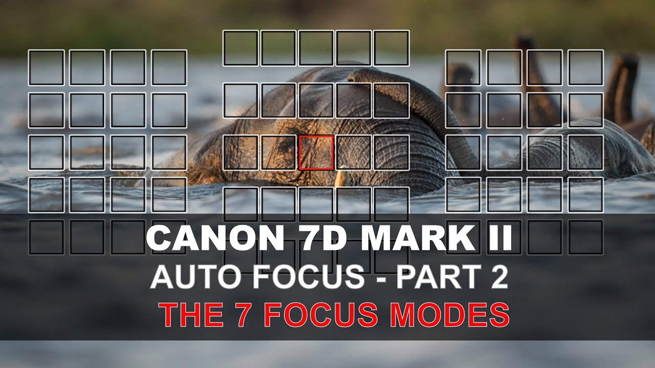 Canon 7D Mark II Auto Focus - Part 2/5: The 7 Focus Modes