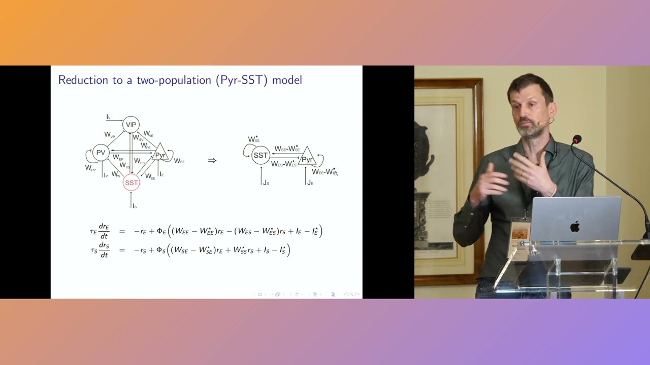 Roles of inhibition in shaping the response of cortical networks - Professor Nicolas Brunel