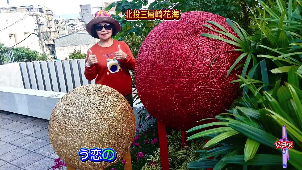 2026/02/15在淡水天元宮後山櫻花步道賞櫻及至北投三層崎公園花海賞花片段剪輯.