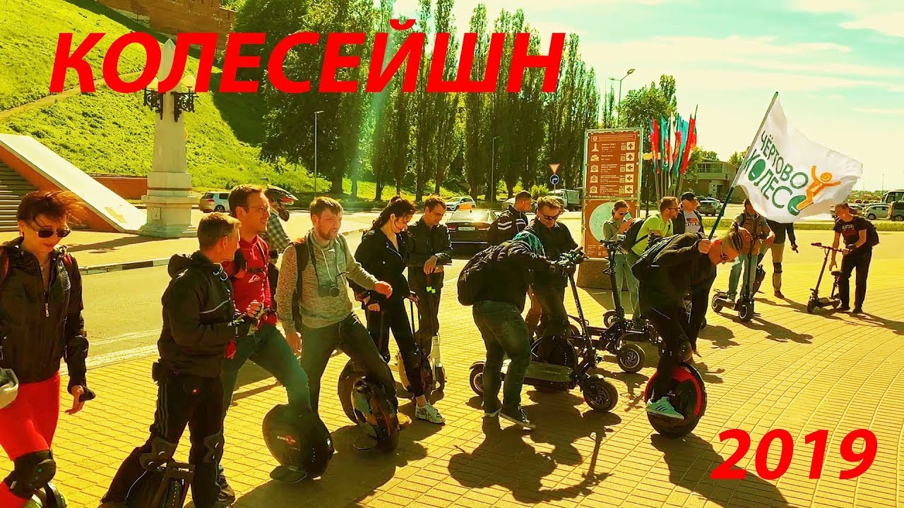 Колесейшн