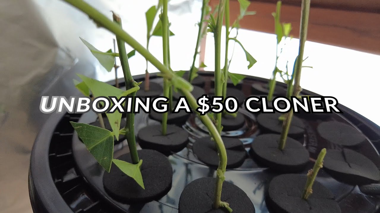 Unboxing $50 Aeroponic Cloner for Plant Propagation | Tool for Rooting Plant Cuttings Fast