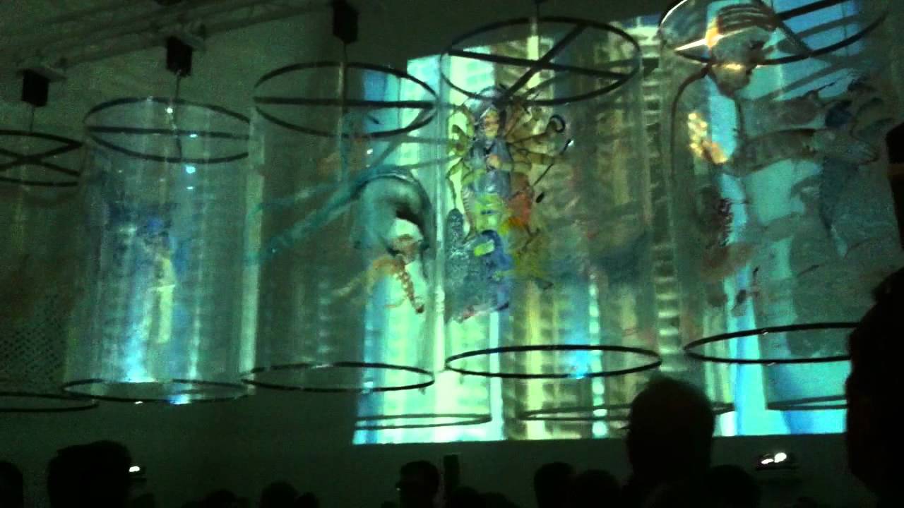 Nalini Malani - In search of vanished Blood | dOCUMENTA 13